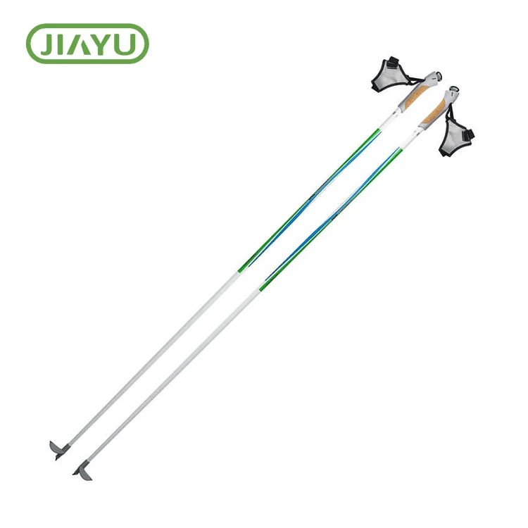 Ski poles snow